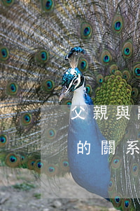 父親與離婚后女兒同居(父親再婚 我們和女方的關系)