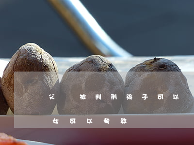 父親被判刑孩子可以當律師嗎(父親被判刑子女可以考教師嗎)