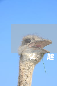 父親起訴法院可以趕兒子出門嗎