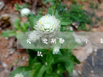 父親逾期影響兒子貸款嗎(父親貸款兒子還能貸款嗎)