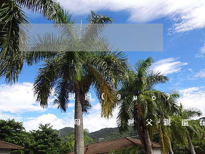 父親過(guò)世了母親在嫁房子怎么繼承(母親去世,父親還在,房子怎么繼承)