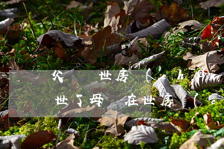 父親過世房產(chǎn)怎么繼承(父親去世了母親在世房產(chǎn)怎么繼承到個人)