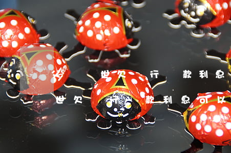 父親過世欠銀行貸款利息可以減嗎-父親過世欠銀行貸款利息可以減嗎知乎