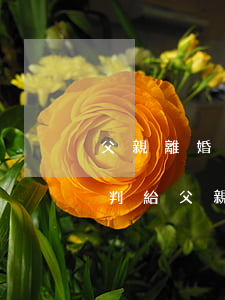 父親離婚后有孩子算親的嗎(一般離婚孩子會判給父親還是母親)