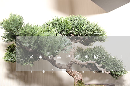 父輩宅基地繼承協(xié)議怎么寫(xiě)(農(nóng)村宅基地繼承證明怎么寫(xiě))