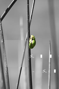 父輩無力償還債務(wù)會讓子女償還嗎-父輩無力償還債務(wù)會讓子女償還嗎知乎