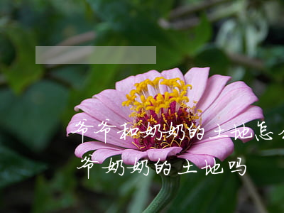 爷爷和奶奶的土地怎么继承(孙子有权继承爷爷奶奶的土地吗)