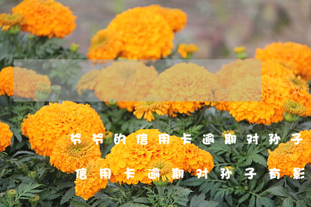 爷爷的信用卡逾期对孙子有影响吗-爷爷的信用卡逾期对孙子有影响吗知乎