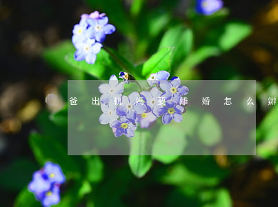爸出軌媽要離婚怎么辦