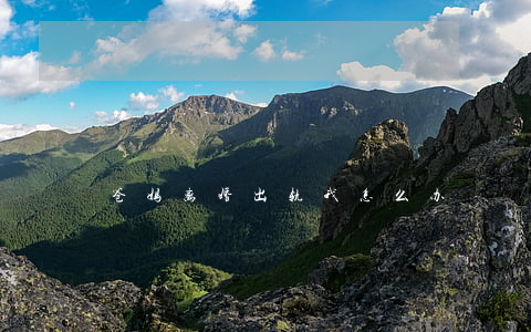 爸妈离婚出轨我怎么办