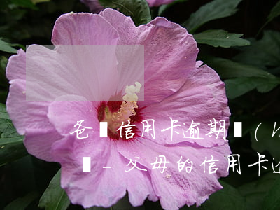 爸媽信用卡逾期會(huì)影響子女高考嗎-父母的信用卡逾期會(huì)不會(huì)影響子女上學(xué)