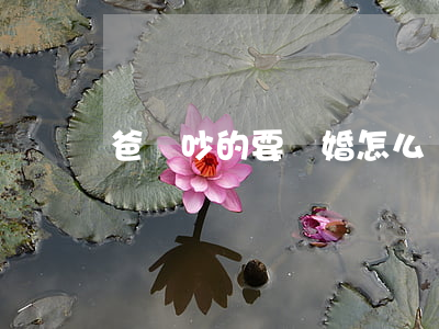 爸媽吵的要離婚怎么辦