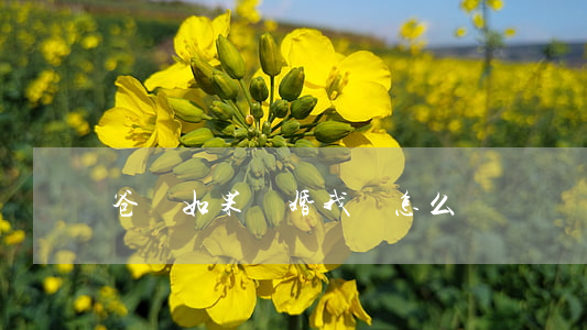爸媽如果離婚我該怎么辦