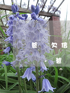 爸媽欠信用卡被起訴過能當(dāng)兵嗎-爸媽欠信用卡被起訴過能當(dāng)兵嗎有影響嗎
