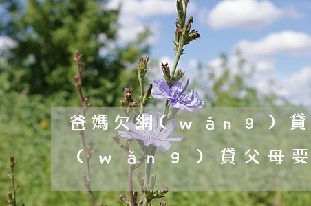 爸媽欠網(wǎng)貸怎么辦(女兒欠的網(wǎng)貸父母要還嗎)