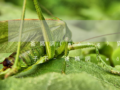 爸媽網(wǎng)貸逾期會影響部隊的孩子不-爸媽網(wǎng)貸逾期會影響部隊的孩子不