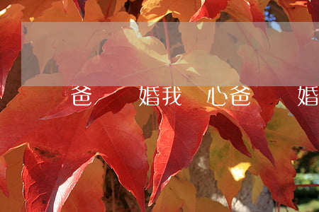 爸媽離婚我開心(爸媽離婚我的心情感悟)