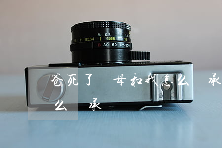 爸死了繼母和我怎么繼承(爸死了繼母和我怎么繼承)