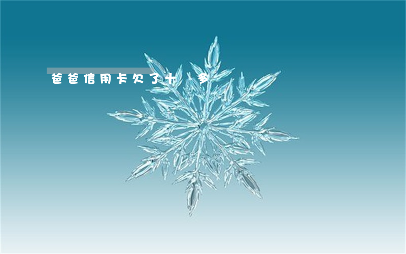 爸爸信用卡欠了十萬多