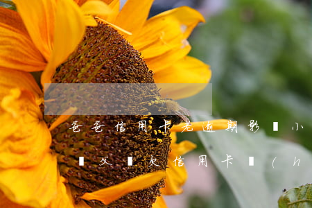 爸爸信用卡老逾期影響小孩讀書(shū)嗎(父親欠信用卡會(huì)影響孩子上大學(xué)嗎)