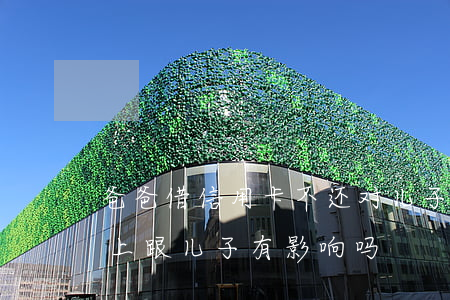 爸爸借信用卡不还对儿子(老公借信用卡还不上跟儿子有影响吗)