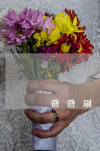 爸爸刷了我兩萬信用卡不還
