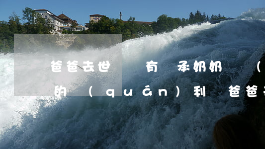 爸爸去世媽媽有繼承奶奶財產(chǎn)的權(quán)利嗎(爸爸去世能不能繼承奶奶房產(chǎn))