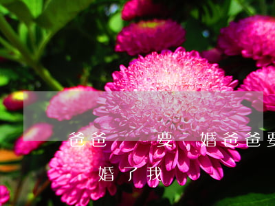爸爸媽媽要離婚爸爸要娶小三(如果爸爸媽媽離婚了,我選誰)