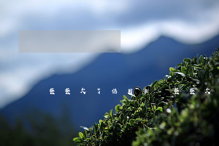 爸爸欠了信用卡-爸爸欠了信用卡怎么辦