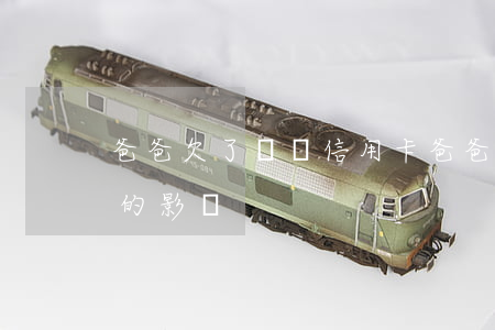 爸爸欠了幾萬信用卡(爸爸欠信用卡錢對子女的影響)