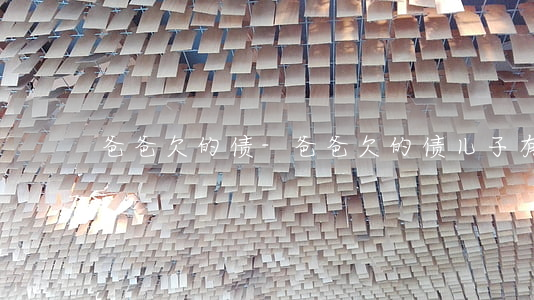 爸爸欠的债-爸爸欠的债儿子有义务还吗