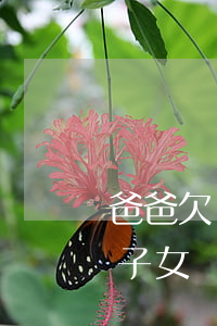 爸爸欠網(wǎng)貸會(huì)影響子女讀書嗎(兒子網(wǎng)貸不還對(duì)父親有影響嗎)