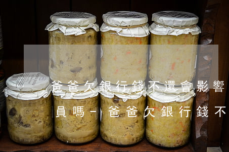 爸爸欠銀行錢不還會影響我考公務(wù)員嗎-爸爸欠銀行錢不還會影響我考公務(wù)員嗎知乎