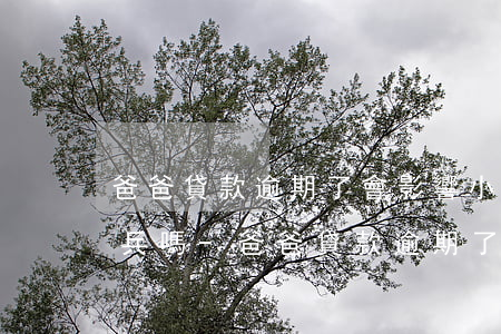 爸爸貸款逾期了會影響小孩當(dāng)兵嗎-爸爸貸款逾期了會影響小孩當(dāng)兵嗎知乎