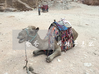 爸爸鬧離婚孩子怎么辦