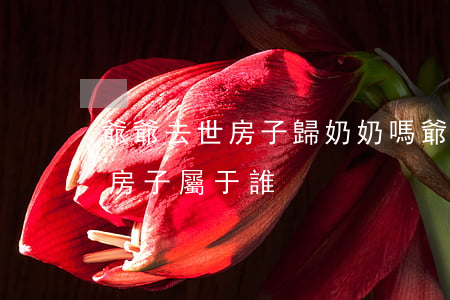 爺爺去世房子歸奶奶嗎(爺爺去世了,奶奶還在,房子屬于誰)