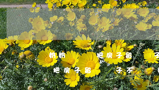 爺爺奶奶寫遺囑把房子留給孫子(爺爺奶奶寫遺囑把房子留給孫子,不給兒媳)