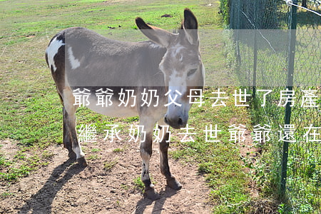 爺爺奶奶父母去世了房產(chǎn)怎么繼承(奶奶去世,爺爺還在,房子怎么繼承)