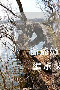 爺爺奶奶的財產(chǎn)怎么繼承(奶奶繼承父親的財產(chǎn),奶奶去世后)
