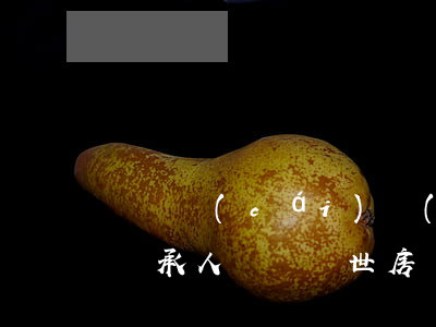 爺爺財(cái)產(chǎn)孫子怎么繼承人(爺爺過世房產(chǎn)孫子怎么繼承)