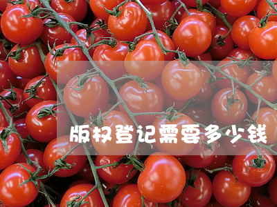 版权登记需要多少钱