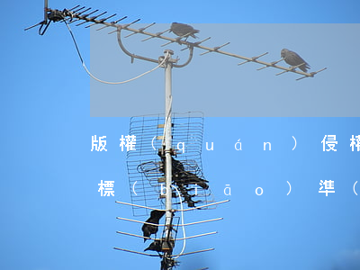 版權(quán)侵權(quán)的處罰標(biāo)準(zhǔn)是什么
