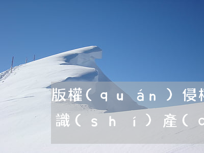 版權(quán)侵權(quán)鑒定(知識(shí)產(chǎn)權(quán)侵權(quán)的判斷標(biāo)準(zhǔn))