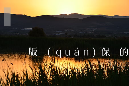 版權(quán)保護的意義有哪些