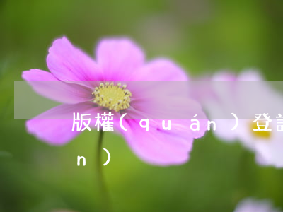 版權(quán)登記后如何維權(quán)