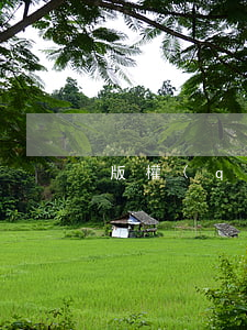 版權(quán)登記多少錢