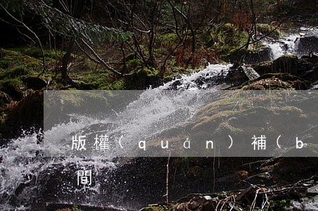 版權(quán)補(bǔ)證需要多長時間