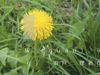 版權(quán)許可合同糾紛應(yīng)該如何處理(著作權(quán)權(quán)屬,侵權(quán)糾紛)