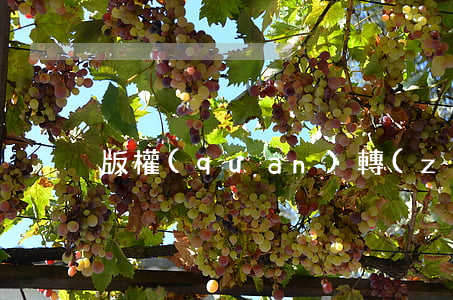 版權(quán)轉(zhuǎn)讓稅率