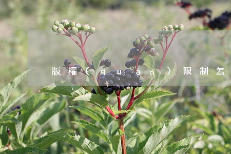 版權(quán)限制怎么處理